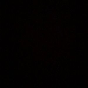 Meet your Posher, Tylee